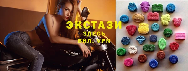 хмурый Белокуриха
