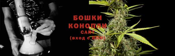 хмурый Белокуриха