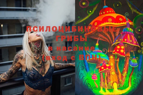 кокаин Гатчина