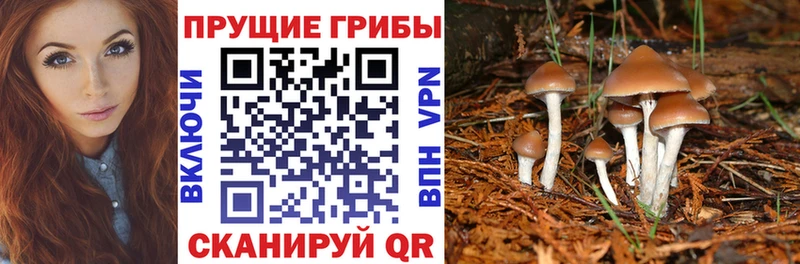 хочу Карасук Псилоцибиновые грибы мухоморы